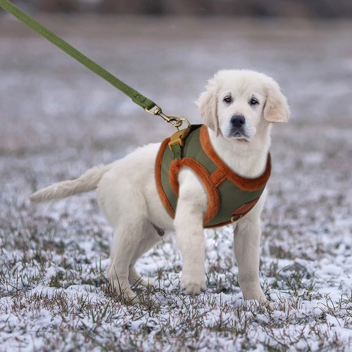 Winter Warm Fleece Padded Dog Harness and Lead set Pet Puppy Vest for Yorkshire - Picture 11 of 21