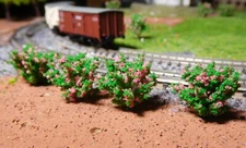 10 Pink Flowering Bushes, Shrubs, 28 Mm High