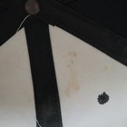 Picture 5 of 7