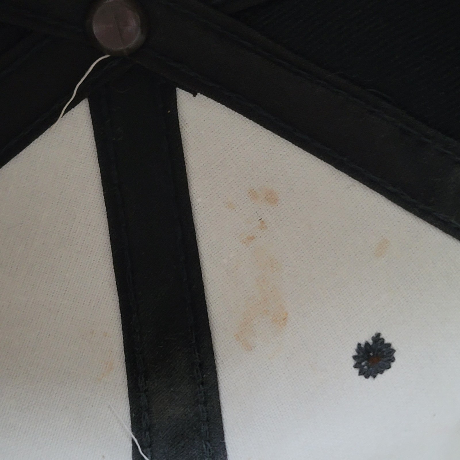 Picture 5 of 7