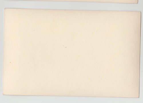 The IGUNANA In A Tree St Thomas US Virgin Islands Art View Card Sepia Blank Back - Picture 2 of 2