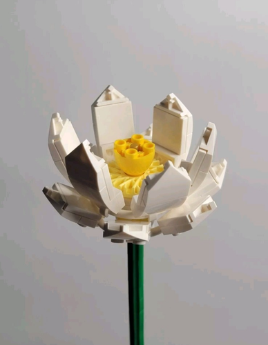 *RESTOCK & UPDATE*Lego Individual Botanical Flowers, Plants, and Custom - Picture 153 of 181