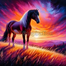 Digital Image Picture Photo Wallpaper Background Desktop Art Horse Sunset #A549