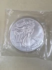 2022 American Silver Eagle