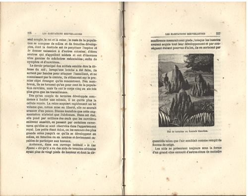 Les HABITATIONS MERVEILLEUSES par L. ROUSSEAU Insecte Oiseau Reptile circa 1880 - Picture 16 of 24