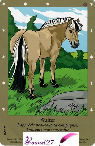 CARTE CARD Cheval Horse " BELLA SARA " EDITION DE BASE N° AUX CHOIX - Imagen 54 de 88
