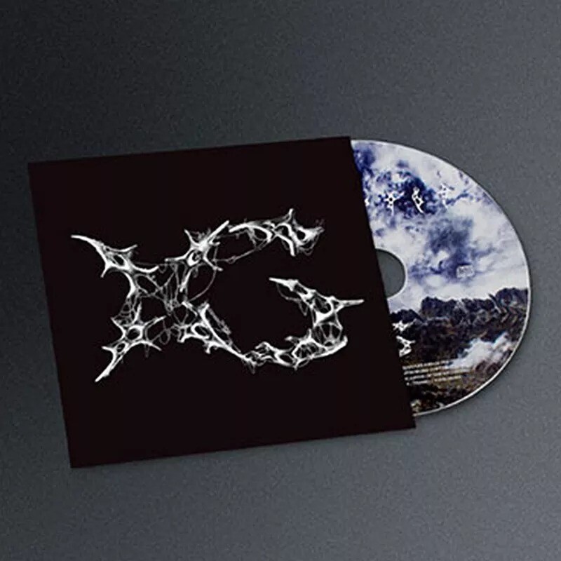 XG AWE 数量限定レコード【新品】