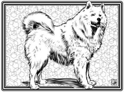 Coloring Page - Dog #3 (High-Resolution JPG file will be sent by email)