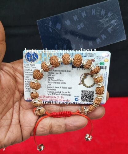 Siddha Rudraksha Armband 1 bis 14 Mukhi Rudraksh Java Perlen Silber Kappe ~ zertifiziert - Bild 4 von 5