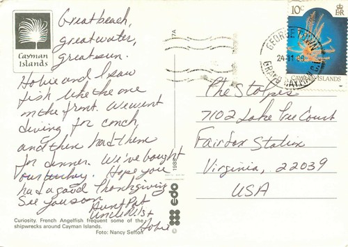 Postal de pez ángel de las islas Caimán estampada vintage - Imagen 2 de 2