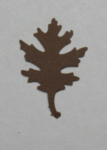 EICHENBLATTBLÄTTER Set 60 Stück je 5 Farben Stanzer Ausstanzer Sie wählen die Größe - Bild 29 von 43