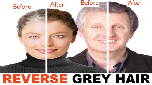 energy and metabolism - SPIRULINA – GRAY HAIR COMBO 2B - saw palmetto powder - Picture 6 of 12