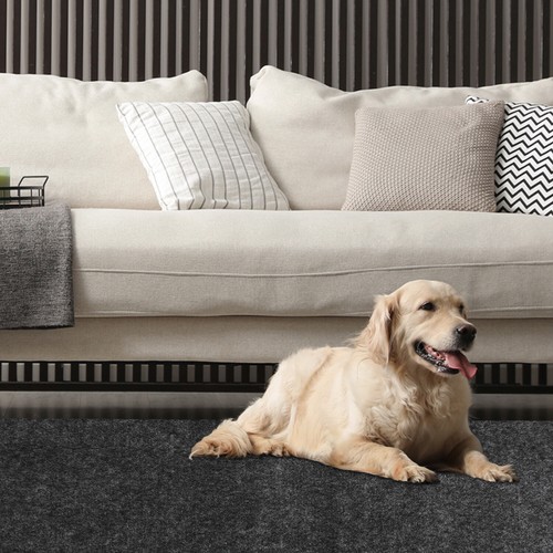 Antistatic Waterproof Non-slip Any Room Pet Carpet 11.6sqft 90cm x 120cm 2mm - Picture 2 of 8