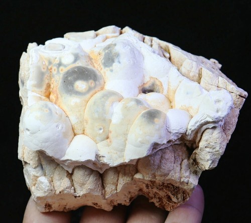 1.61 lb Natural Original Agate Quartz Crystal Stone Mineral Specimen Madagascar - Picture 2 of 11