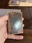 Foto 10 di 11