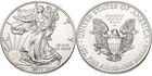 2013 1 oz American Silver Eagle BU 1 coin