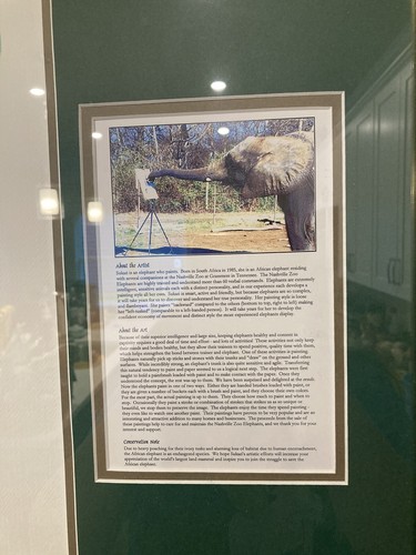 Framed Painting Done By Elephant - Photo 2 sur 4