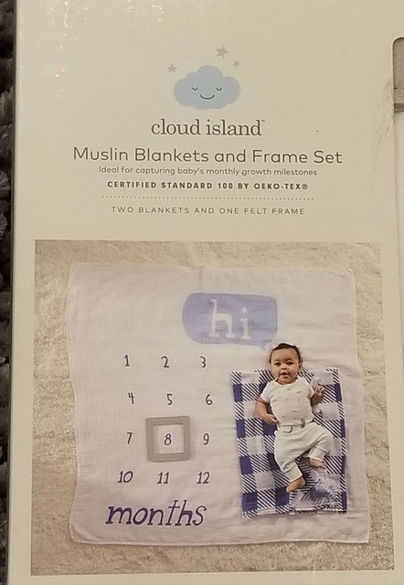 cloud island milestone blanket