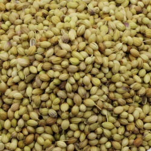 Coriander Seeds Whole - 100% Pure Organic Natural & High Premium Quality - Picture 2 of 2