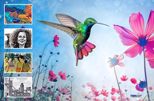 Adobe Photoshop Elements 2025 + Premiere 2025 Vollversion Box Win/Mac OVP NEU - Bild 15 von 21