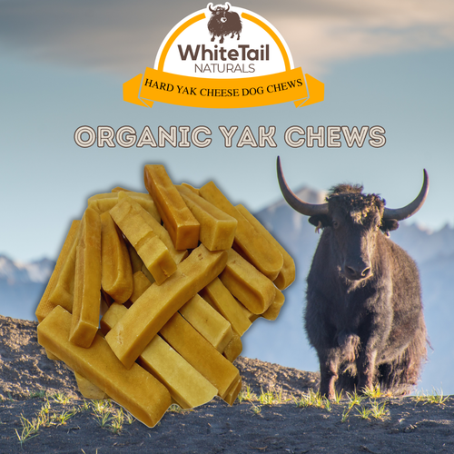 Large 3 Pack - Organic Himalayan Yak Cheese Dog Chews - Picture 5 of 6