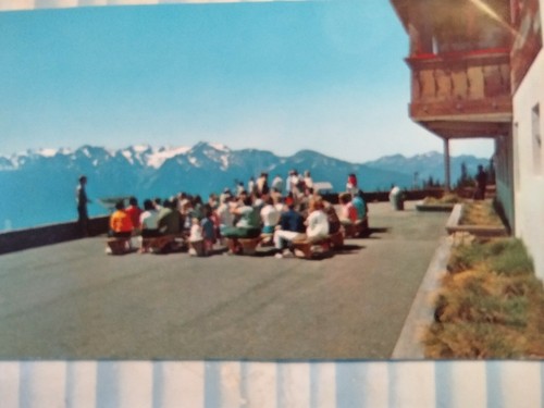 PHOTO POST  CARD NATURALIST PROGRAM HURRICANE RIDGE OLYMPIC NATIONAL PARK WA - Picture 12 of 12