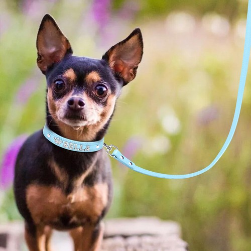 Personalised Dog Collar with Name Rhinestone Letters Leather Collar Collar - Picture 7 of 17