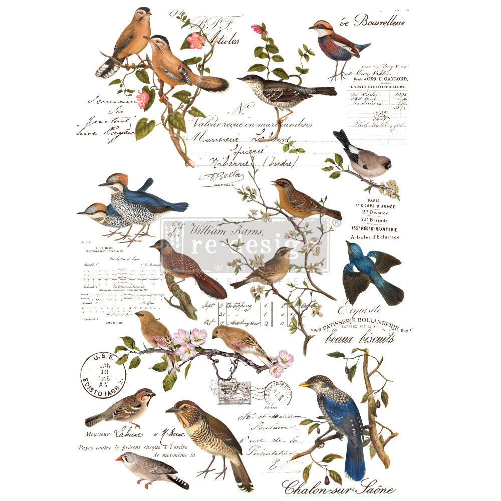 Prima Redesign Postal trend rank Birds Furniture Rub Challenge the lowest price of Japan ☆ Transfer O Decal Craft
