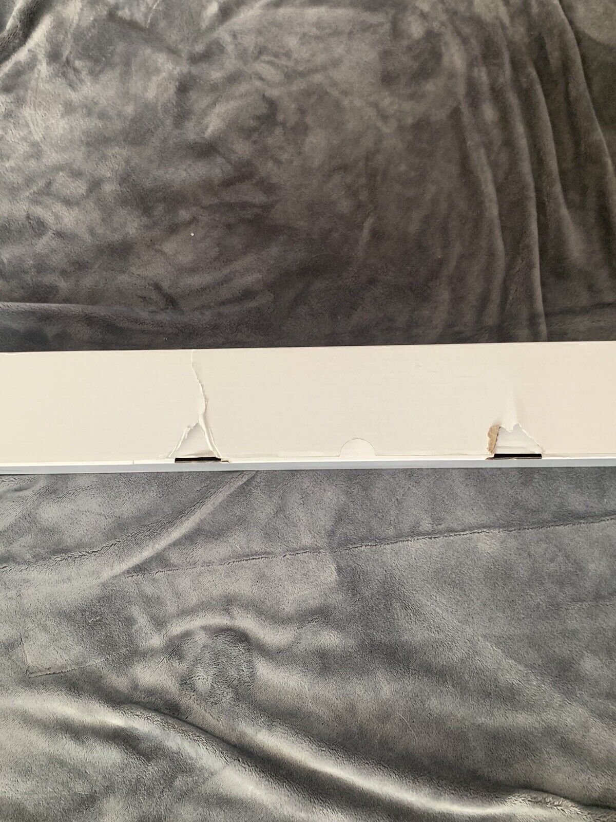 Picture 11 of 11