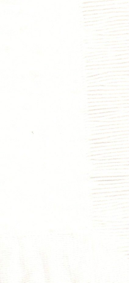 Bild 2 von 24