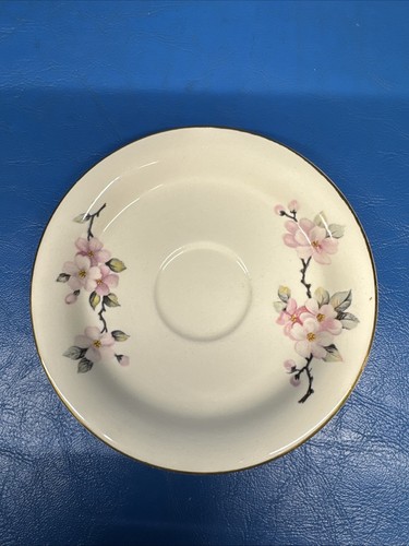 Homer Laughlin Apple Blossom Cup and Saucer Eggshell - Picture 3 of 13