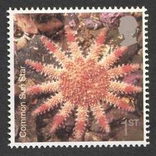 2007 1st Common Sun Star. Sea Life UM. SG 2708