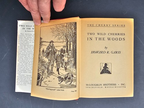 3 Books 1910 Motor Girls 1911 Lookout Beach 1937 Two Wild Cherries HC DJ - Picture 21 of 23