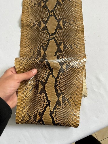 Real snake leather, genuine snakeskin hides, long and wide python leather 2 oz - Picture 5 of 10