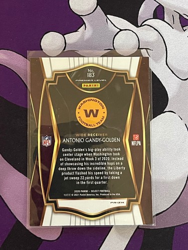 Fútbol Panini Select 2020 - paralelos/insertos/troquelados/prizm - ¡Tú eliges! - Imagen 84 de 122