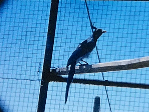 Vintage 8mm Filmrolle 24Mins 60er Jahre? Southern California Desert Zoo MCM Haus - Bild 13 von 24