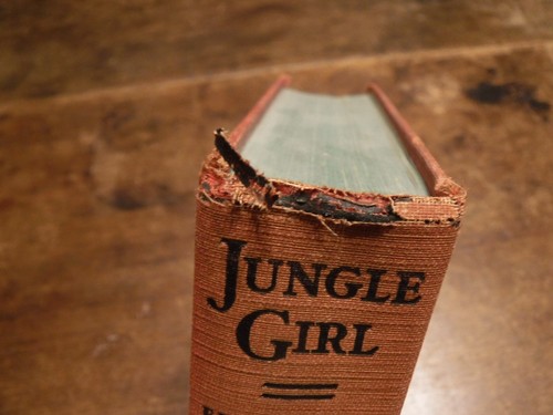 Jungle Girl Edgar Rice Burroughs 1932 Hardcover Grosset & Dunlop illustriert - Bild 16 von 20