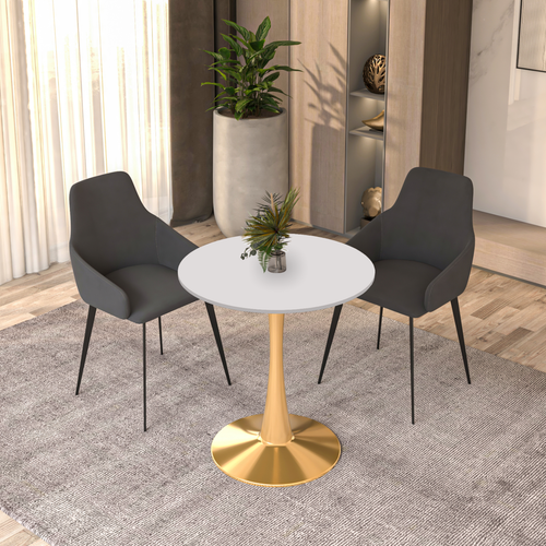 Bristol 24" Round Dining Table with MDF Wood Tabletop in Gold Steel - 第 23/28 張圖片
