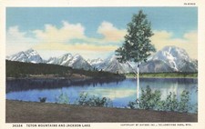 Postcard Teton Mountains Jackson Lake Wyoming