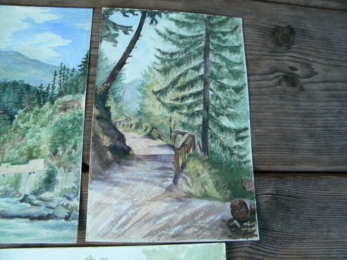 9x ACUARELA paisaje 1896 c.23x15 cm castillo Seebenstein Pitten Liesertal Seebach - Imagen 5 de 11