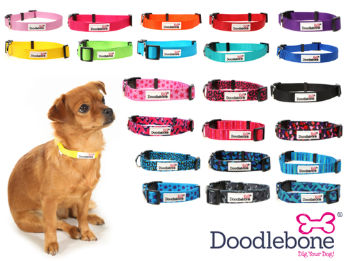 Doodlebone Latest Bold or Patterned Nylon Dog Collars - Choice of Colours & Size - Picture 1 of 24