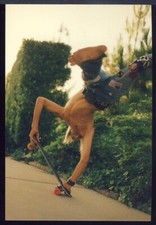 1970s Retro Skateboard Postcard by Hugh Holland, Shirtless Man Handstand Board