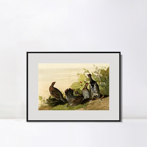 Lienzo enmarcado impresión de giclee uro manchado por John James Audubon decoraciones para el hogar - Imagen 19 de 20