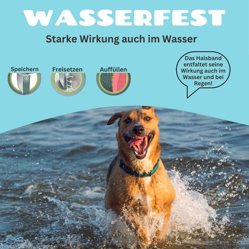 Lubur® Floh- und Zeckenhalsband - Wirksamer Schutz gegen Zecken und Flöhe - Bild 4 von 9