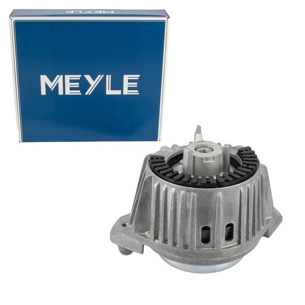 Meyle Motorlager FüR Mercedes W212 S212 C/A207 C/X218 200-250 CDI OM651 Links-image