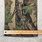 Picture 7 of 17