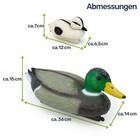 Bild 8 von 8