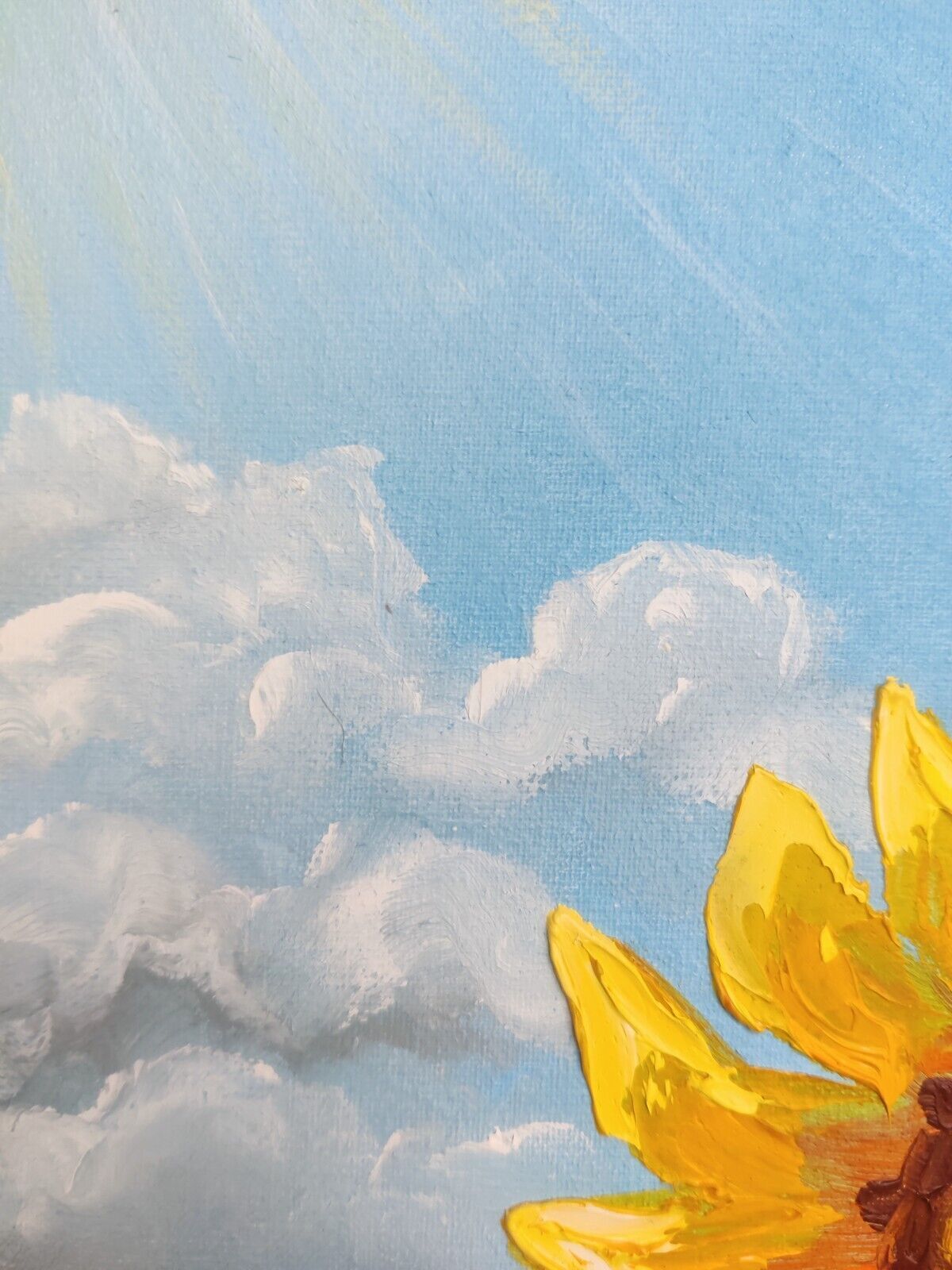 Picture 6 of 13