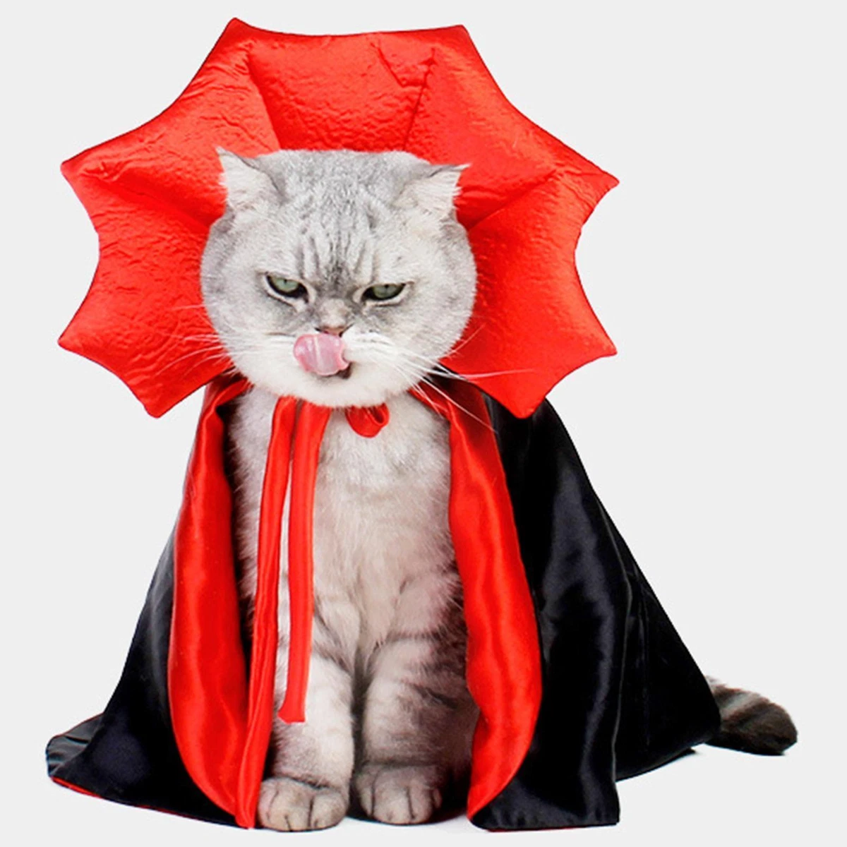 Halloween hotsell cat harness