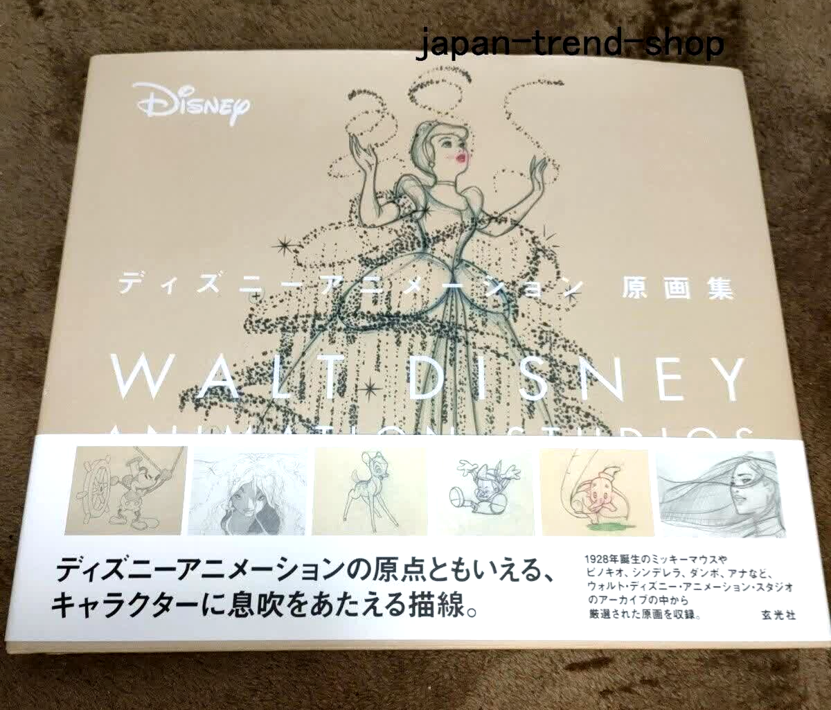 Walt Disney Animation Studios Original Art Works Collection